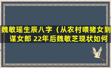 魏敏瑶生辰八字（从农村喂猪女到谋女郎 22年后魏敏芝现状如何）